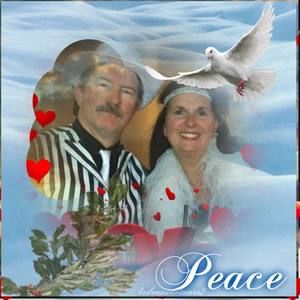 Meet your Posher, Robin